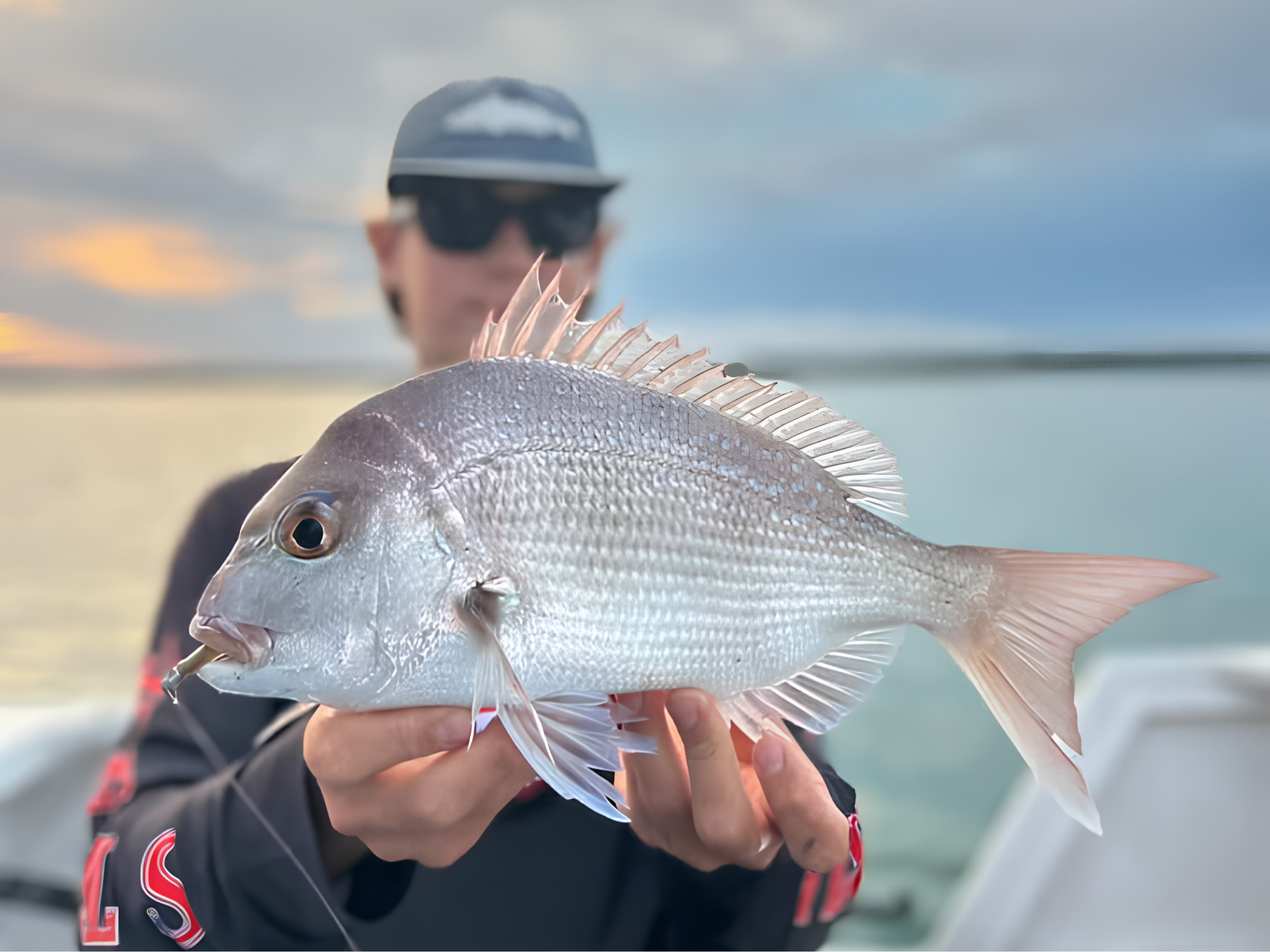 Why Scent Makes a Difference in Soft Plastic Fishing