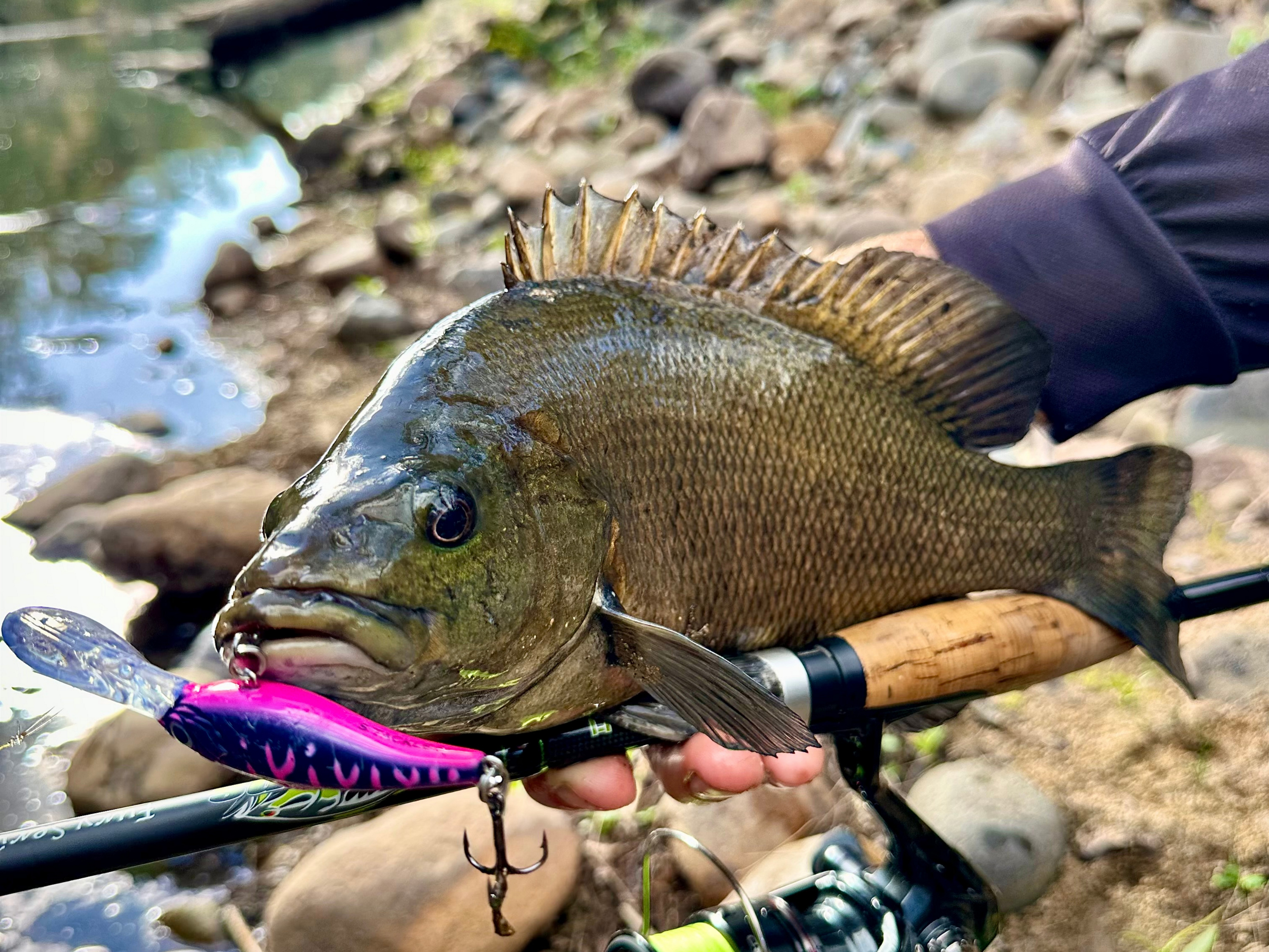 Why Our Lures Work