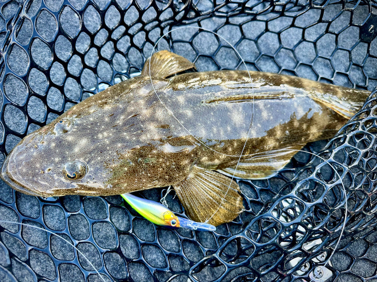 Why a Hardbody Belongs in Your Flathead Kit