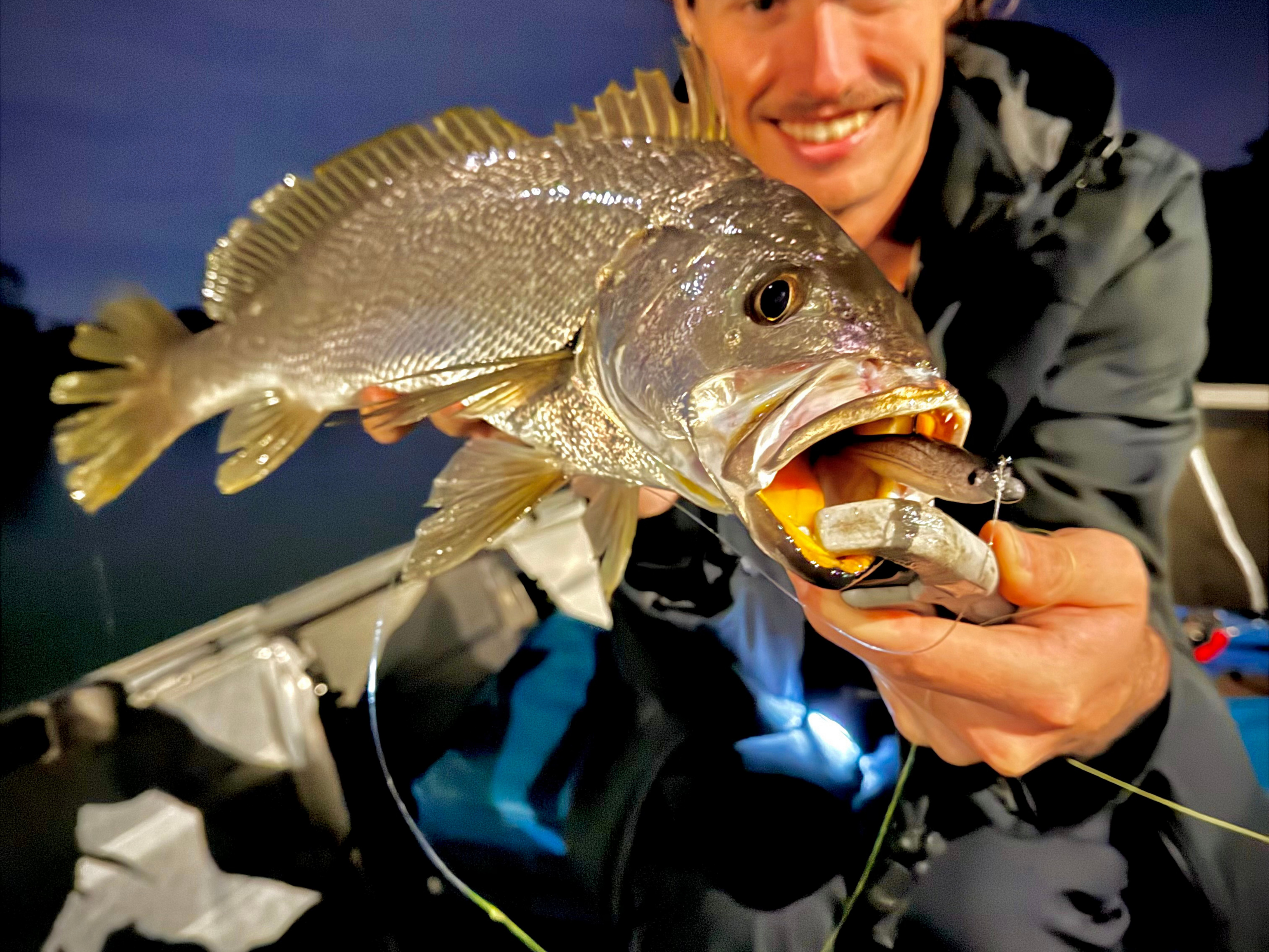 How To Catch Flathead On Lures