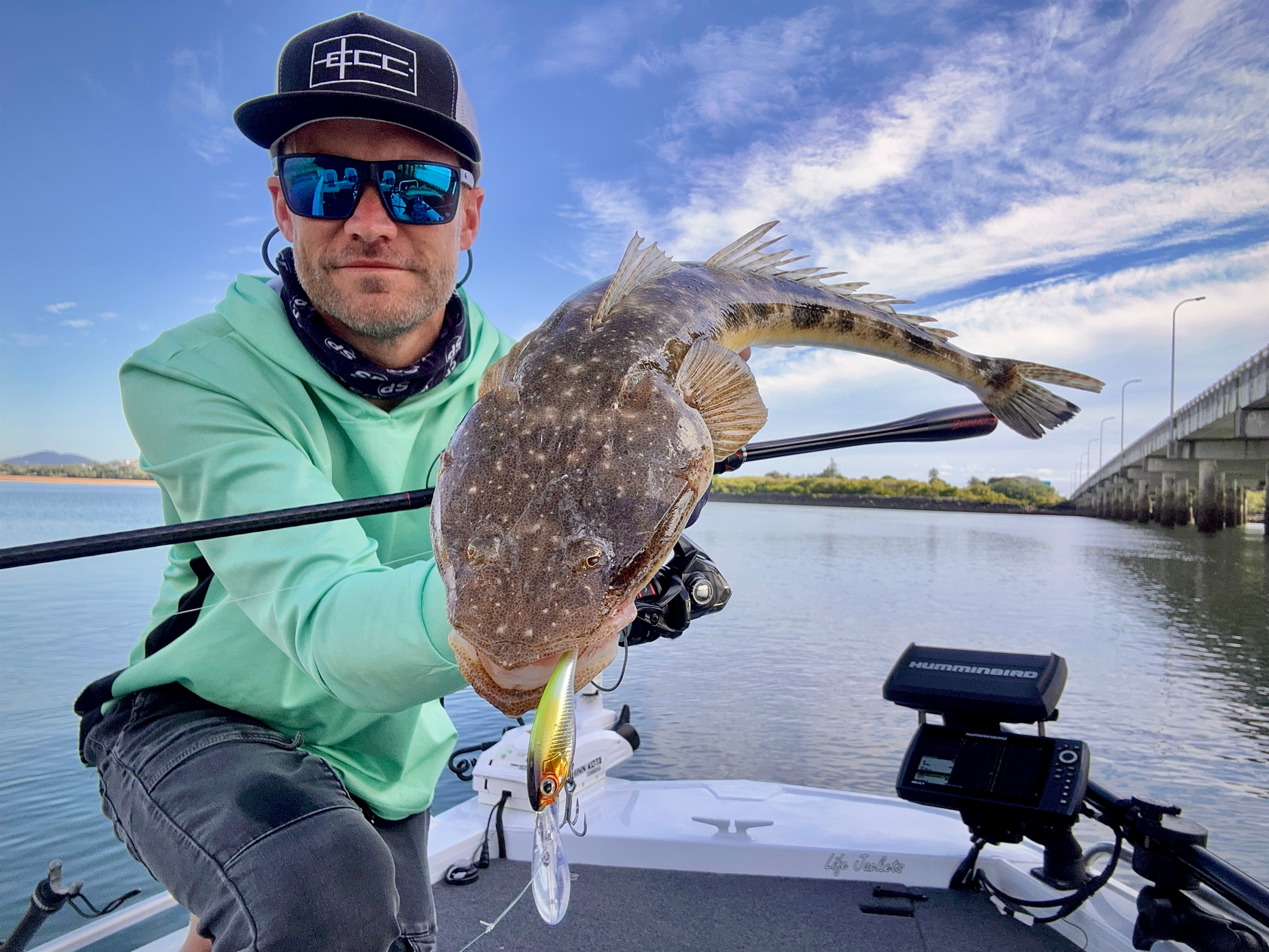 Soft Plastics vs Live Bait