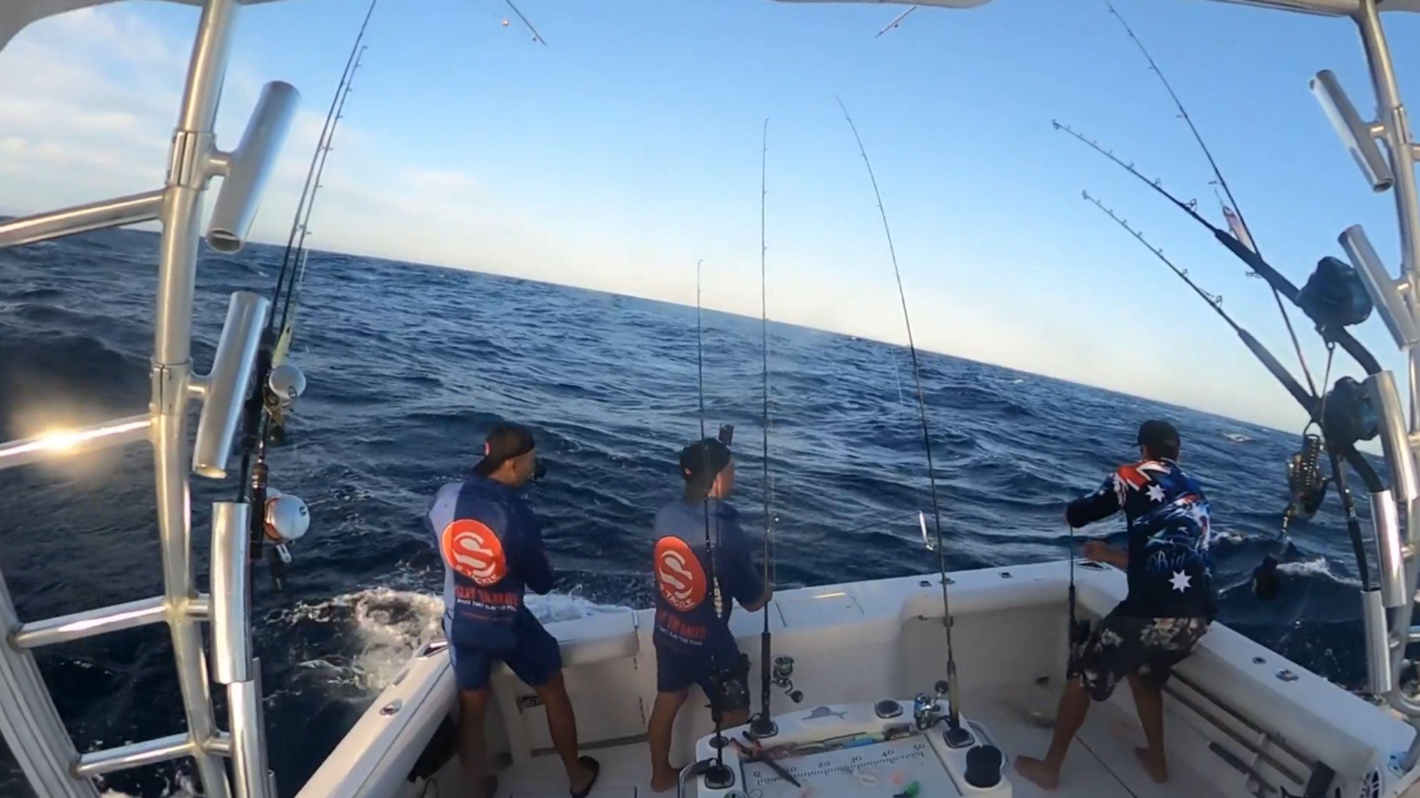 Boat Sea Fishing on the Gold Coast