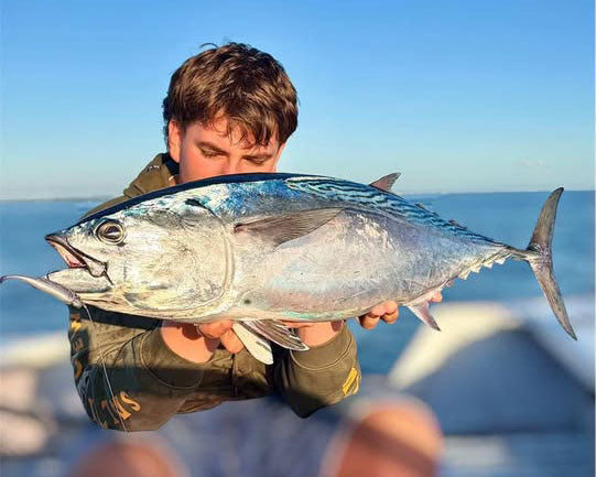 How to Target Pelagics from the Beach on Soft Plastics