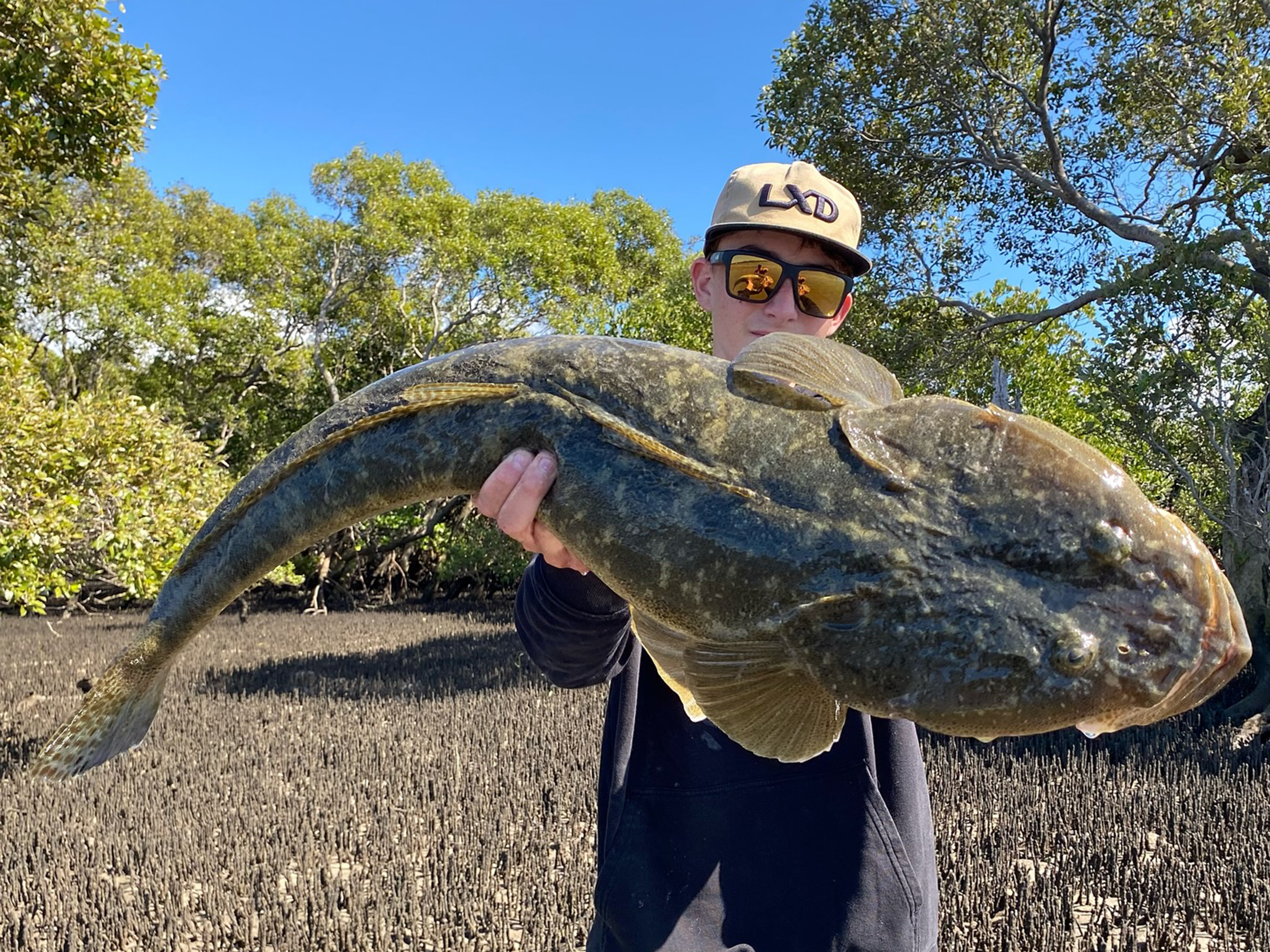 Big Flathead or a Feed? Why One Soft Plastic Size Never Covers Both