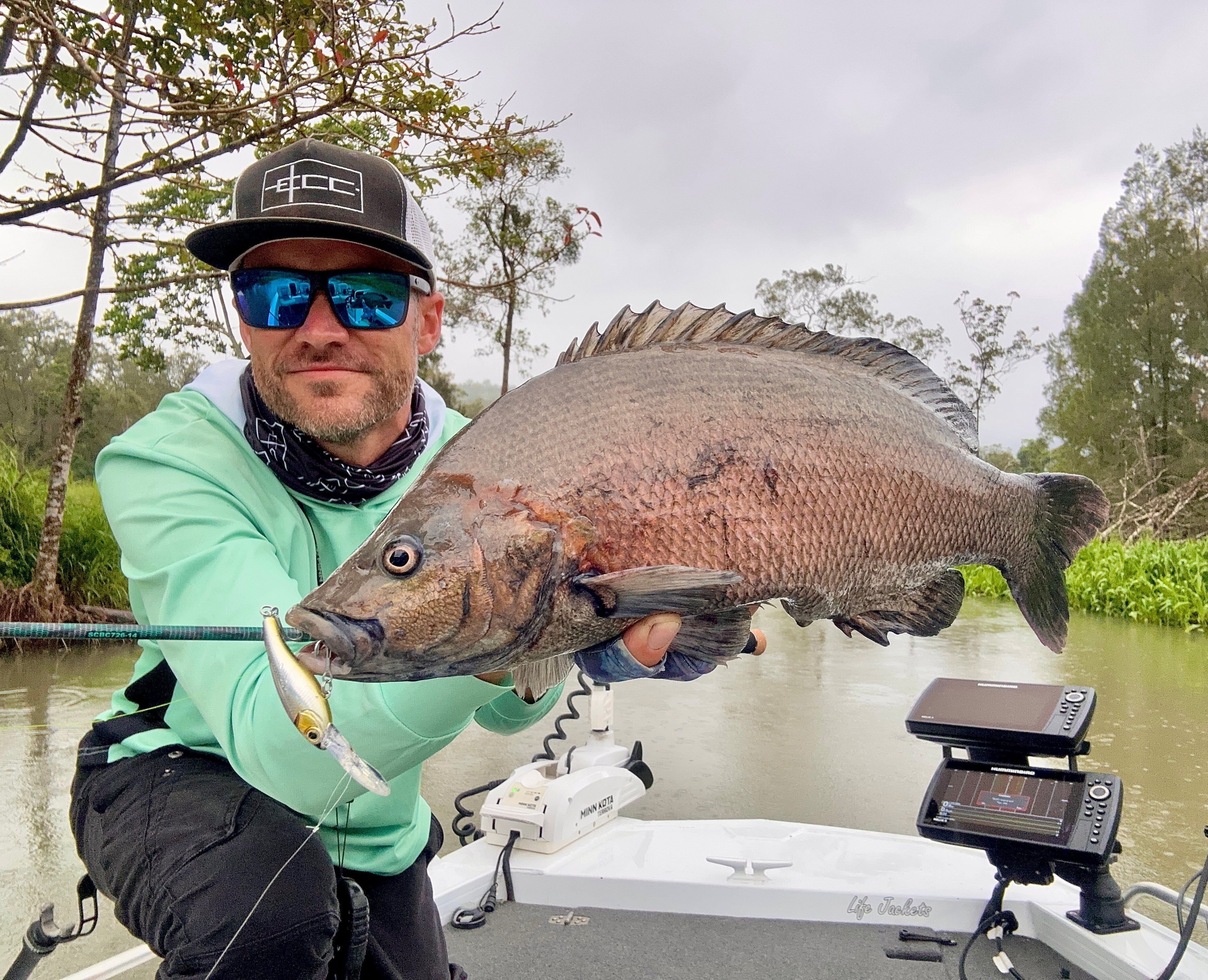 Soft Plastics vs Live Bait: Why More Aussie Fishos Are Making the Switch