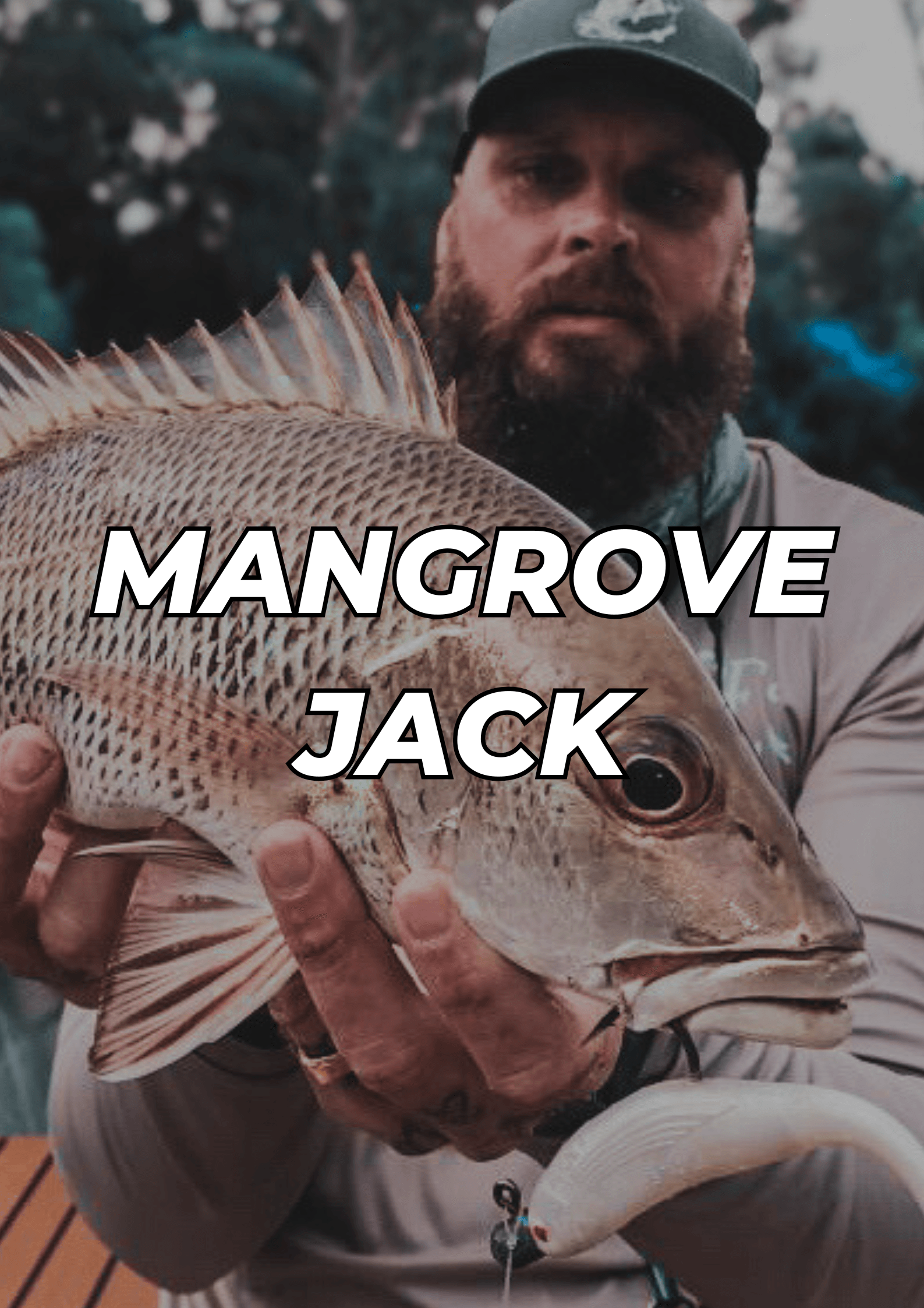 Mangrove Jack - S Tackle