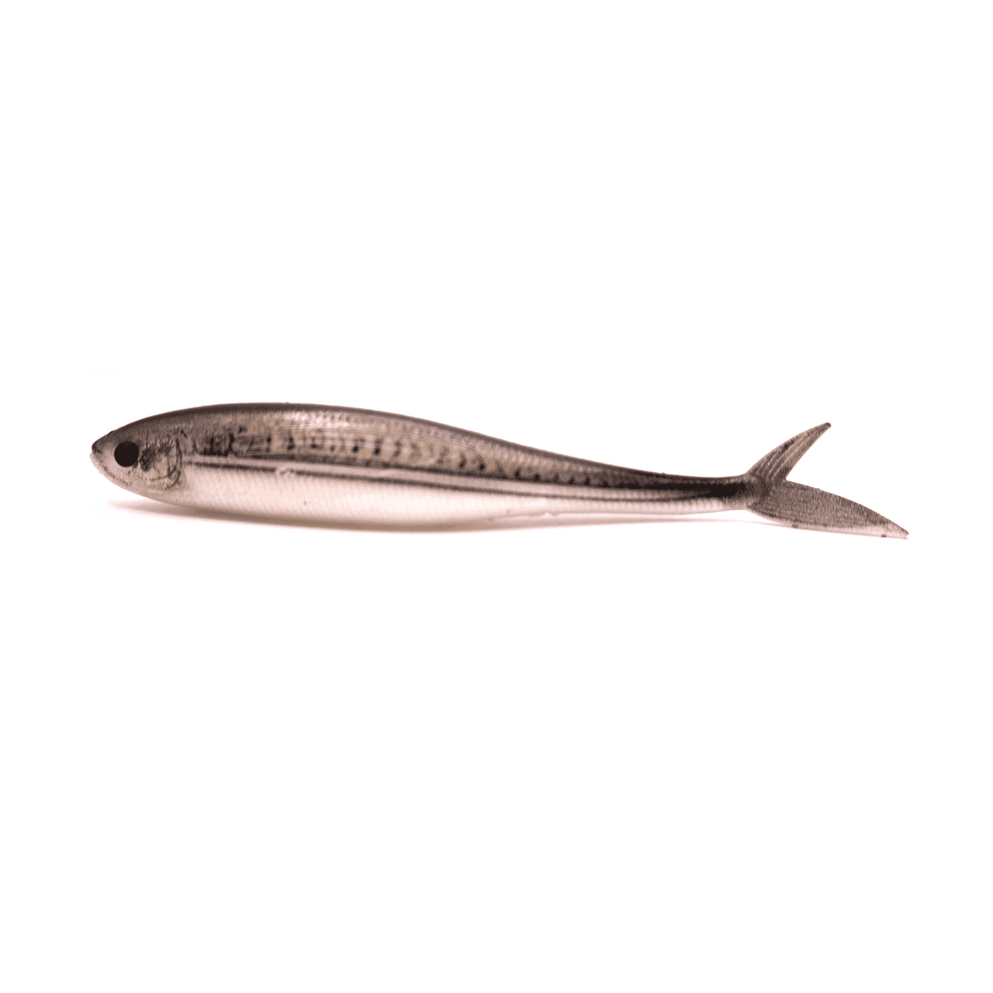 Fish Tail Minnow 5 inch - S Tackle