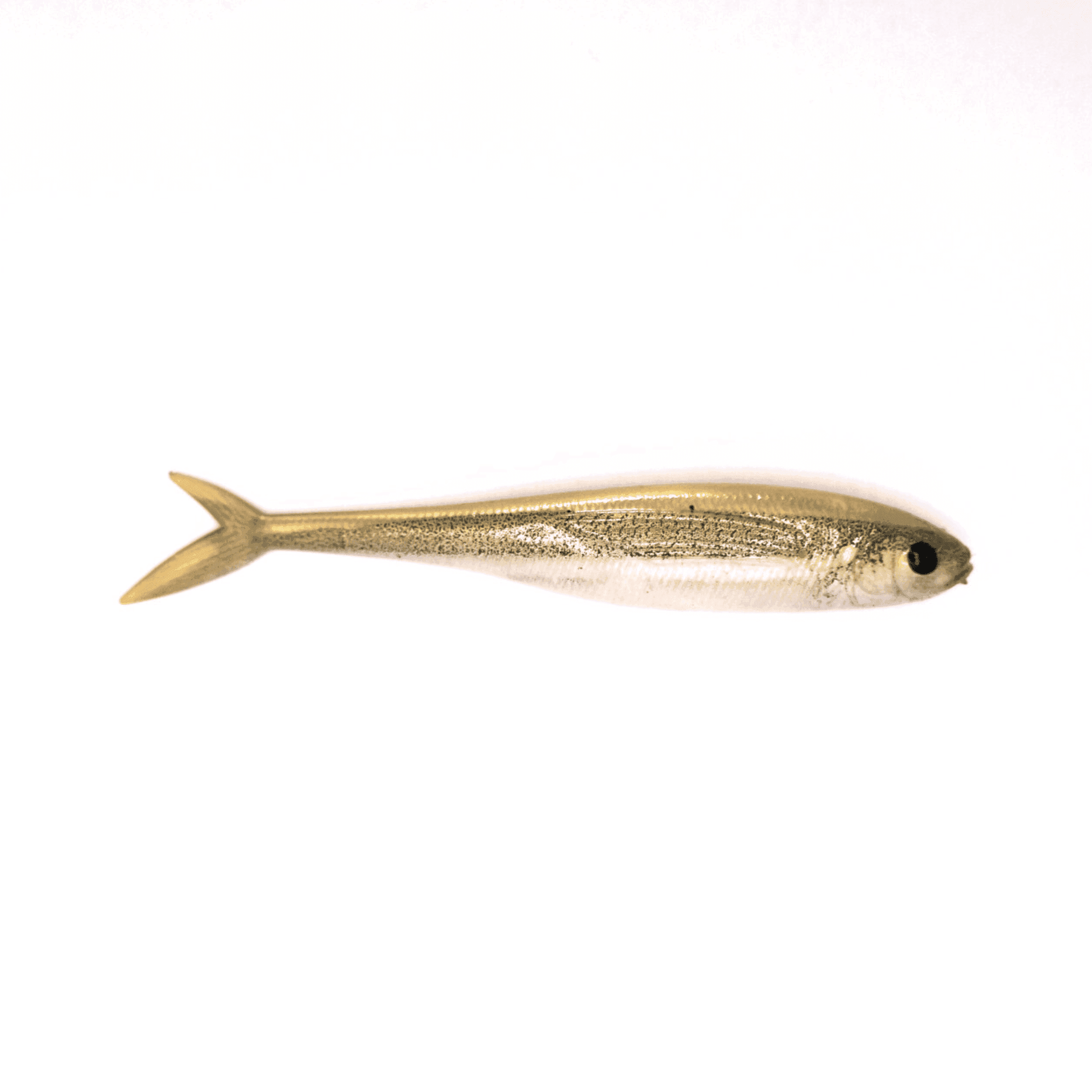 Fish Tail Minnow 5 inch - S Tackle