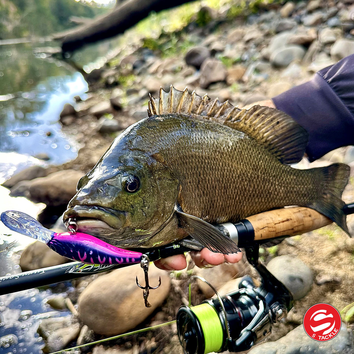 Bass caught on the S Tackle Shake and Dance in Ambassador