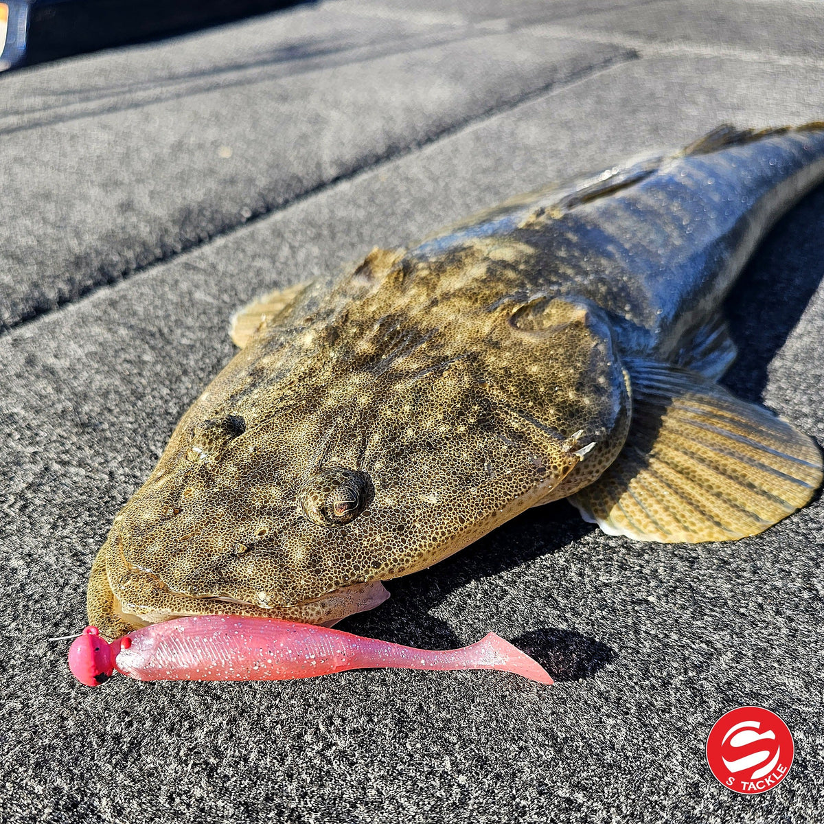 Flathead caught on the S Tackle Rattle Minnow