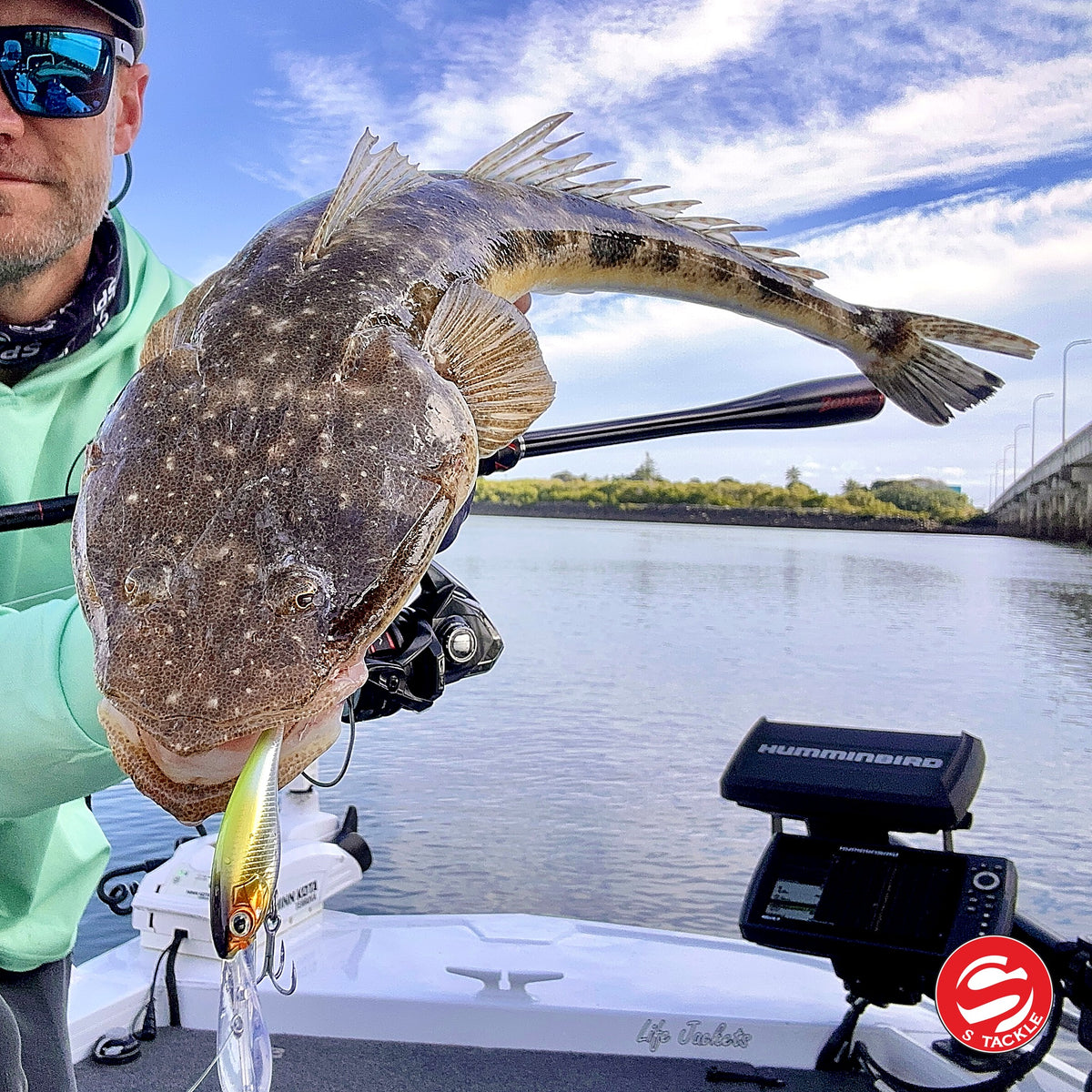 Flathead caught on the S Tackle Shake and Dance in Golden Boy