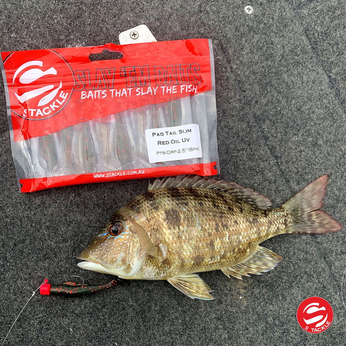 Emperor caught on the S Tackle Pad Tail Slim 2.5 inch in Oil Red Flasher, with the pack