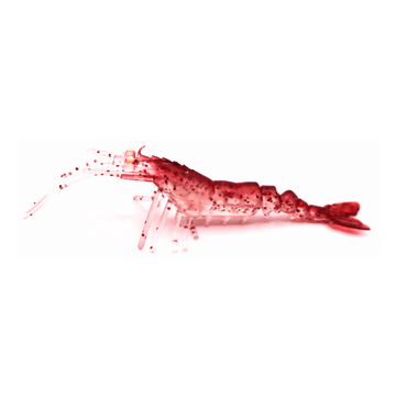 Red Galaxy