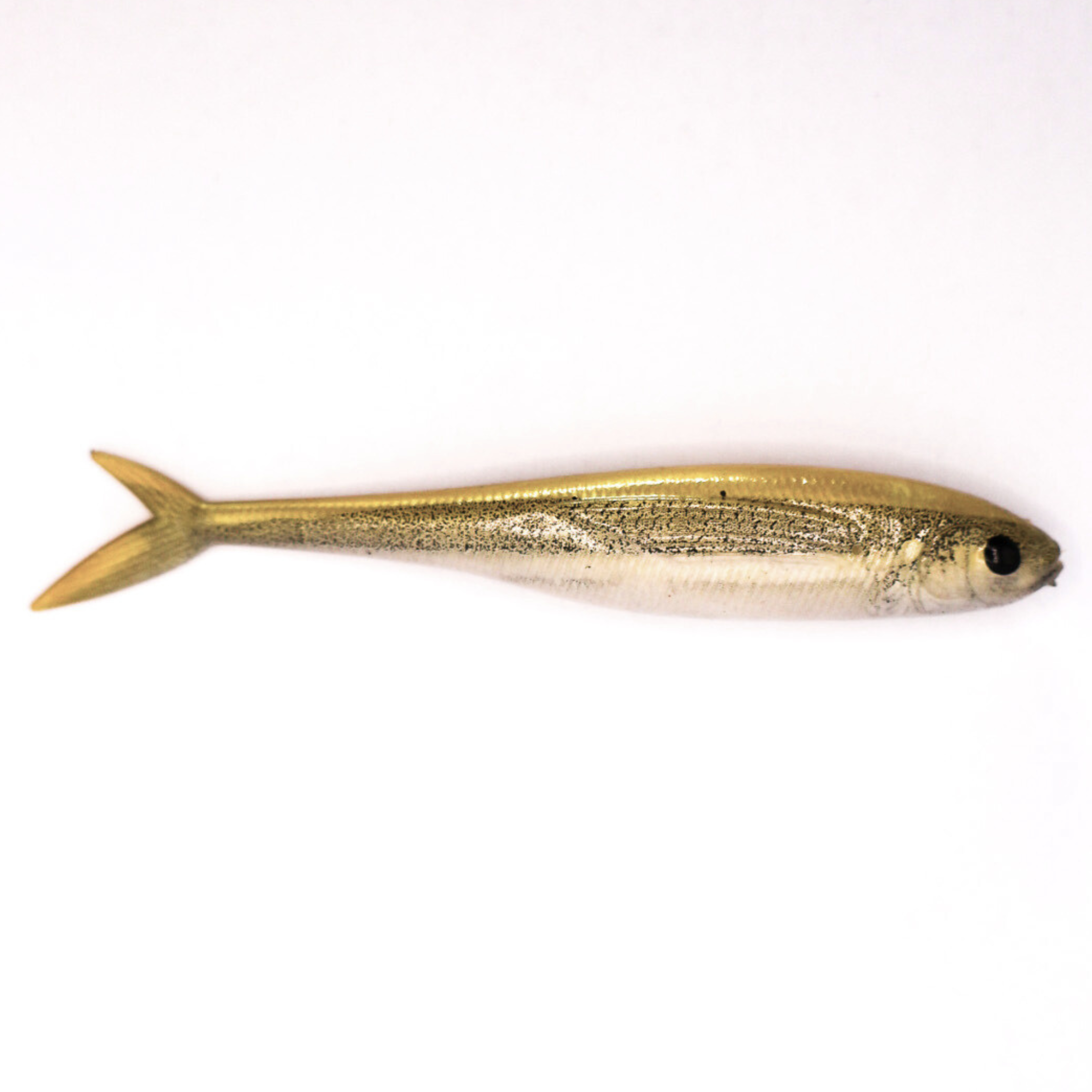 White Bait Fish Tail Minnow 2.5 Inch Tackle, 3 Pcs