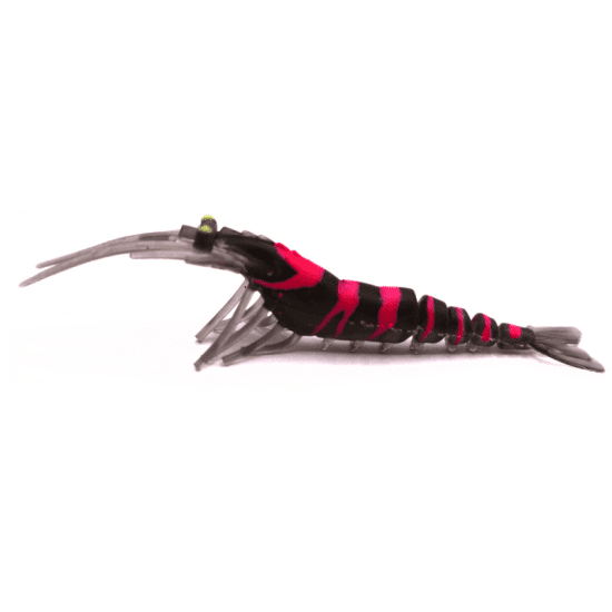 tail dancer 3D prawn power stripe 8 (2)